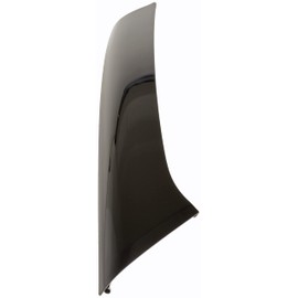 Dorman 926-289 Driver Side Windshield A-Pillar Molding Compatible with Select Ford Models