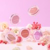 Nature Republic Baked Blusher (Choose 1 of 5) / 네이처리퍼블릭