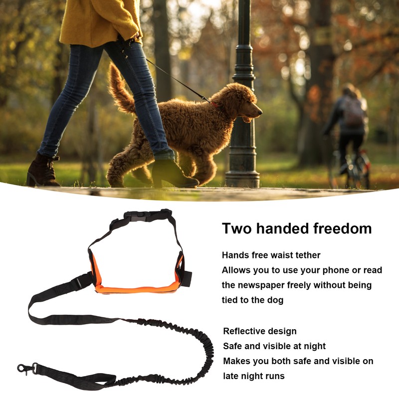 Hands Free Dog Leash Shock Absorption Reflective Dog Running Leash