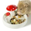 Niteangel Hamster Feeding & Water Bowls- Mushroom Ceramics Series Food