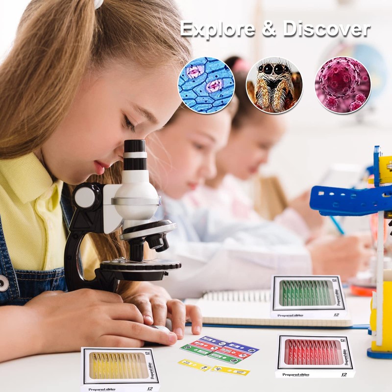 Vegena Pack of 60 Microscope Slides Microscope Preparations Children with