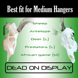 DEAD ON DISPLAY Skull Hanger, European Skull Hanger, Wall Mount for White Tail Deer, Mule Deer, Antelope, African Game, Bear, Exotics, Hog Taxidermy Trophy Mounting (Medium Skull Hanger)