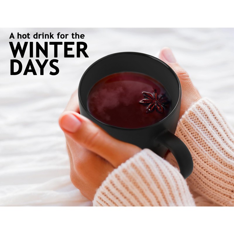 MIAMIO - Set of 6 Stoneware Coffee Mugs 12 Ounce/Cup