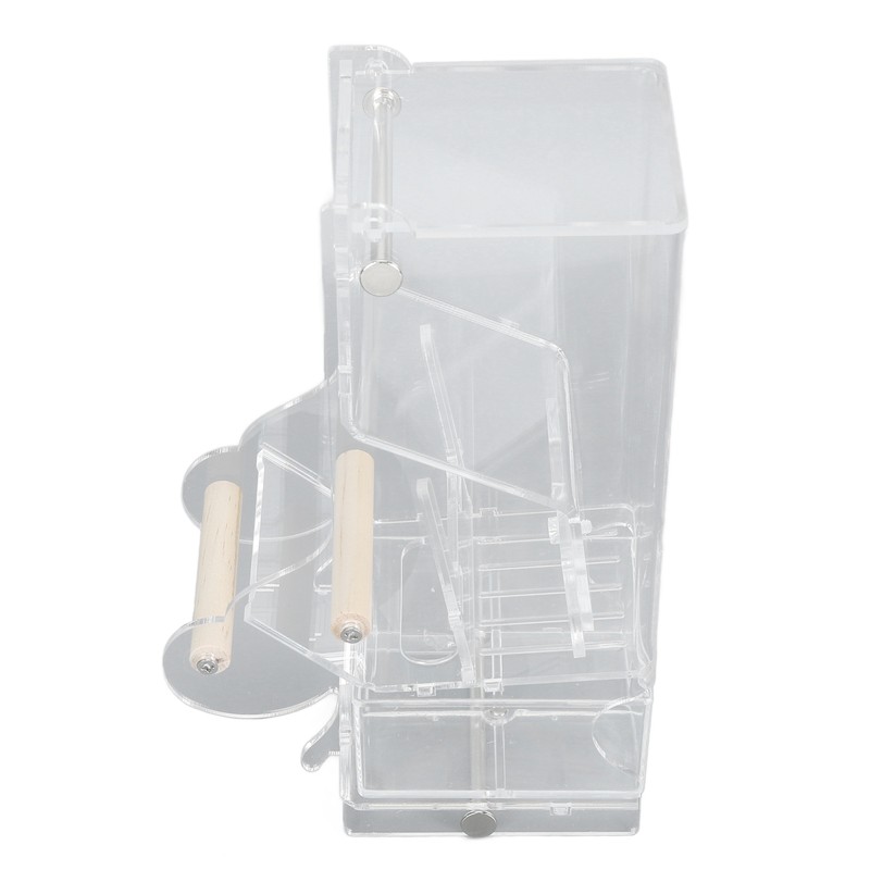 Automatic Parrot Feeder Prevent Spillage and Splashing Easy Installation Acrylic