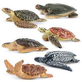 Toymany - Juego de 6 cifras realistas de tortugas marinas de plástico, incluye tortugas, juguetes educativos, regalo de cumpleaños de Navidad para niños pequeños