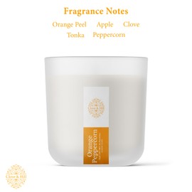 Clove & Hill Orange Peppercorn Candle – 14 oz Coconut Soy Wax, 45+ Hour Burn, 100% Cotton Wick – Spicy, Citrusy Orange & Peppercorn Scent, Clean-Burning Candle for Home & Gifts