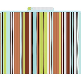 Barker Creek Designer File Folders Set of 12, Ribbon by The Yard, Multicolor Ribbons on Outside, Light-Blue on Inside, Letter Size, 1/3 Cut Tabs, 12-Pack, Home, School and Office Supplies (1330)