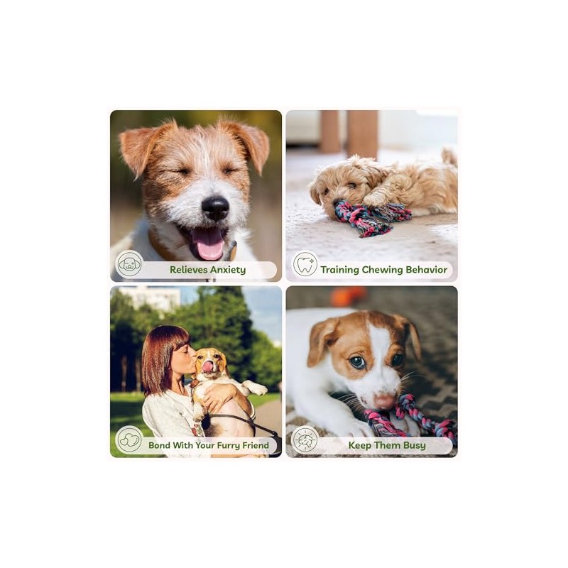SHARLOVY Juguete de Cuerda para Cachorros, Juguete de Cuerda para