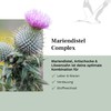 Milk Thistle Capsules – Artichoke, Dandelion Complex & 80% Silymarin