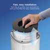 Clorox Medium Room Air Purifier True HEPA Replacement Filter, 1,000