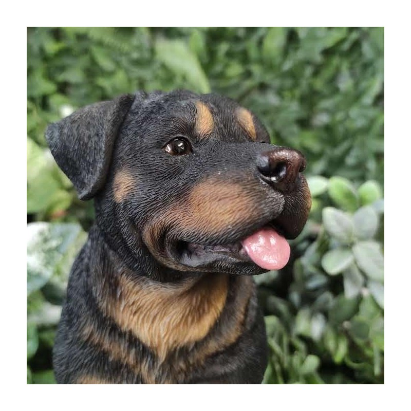 Vivid Arts - Rottweiler - XRL-ROTT-D