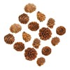 CAXUSD 100pcs Mini Pine Cone Decor Artificial Pine Cones for