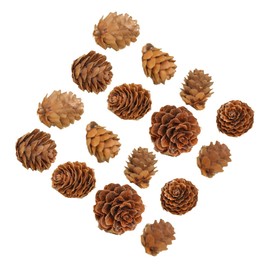 CAXUSD 100pcs Mini Pine Cone Decor Artificial Pine Cones for DIY Crafts Rustic Christmas Home Decor for Festivals Weddings and Seasonal Decorations