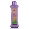 Salerm Biokera Grapeology Shampoo, 10.14 Ounce/300 ml