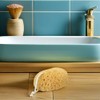 BETOOKY Esponja de Baño Exfoliante de Celda de Abeja 2