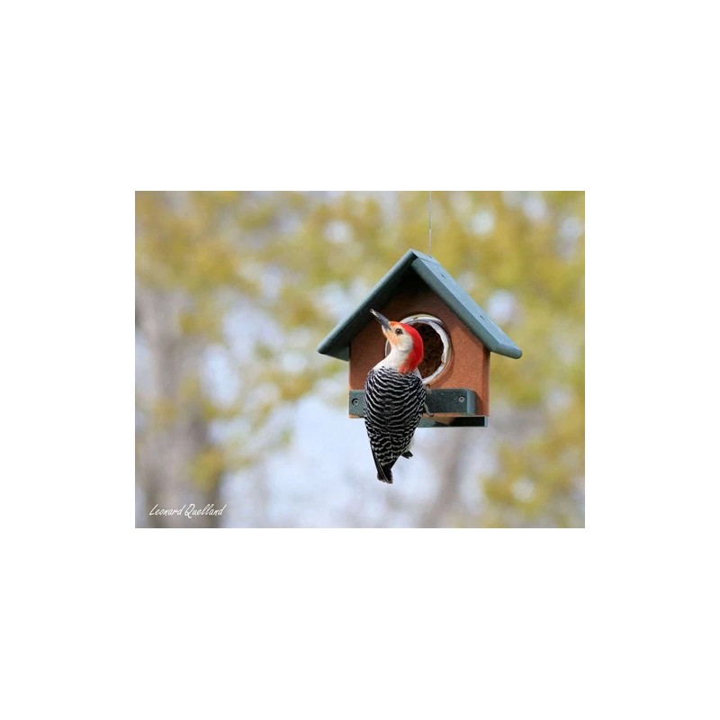 AmishToyBox.com Amish-Made Peanut Butter Bird Feeder, Eco-Friendly Poly Lumber, Fits