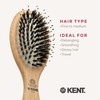 Kent Brushes PF02 Perfect for Smoothing Small Cushion Brush, Wood