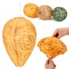 SPENCER SPENCER HAPPUCATION 4 Pack Wasp Nest Decoy Hanging Fake