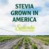SPLENDA Stevia Zero Calorie Sweetener, Plant Based Sugar Substitute Granulated
