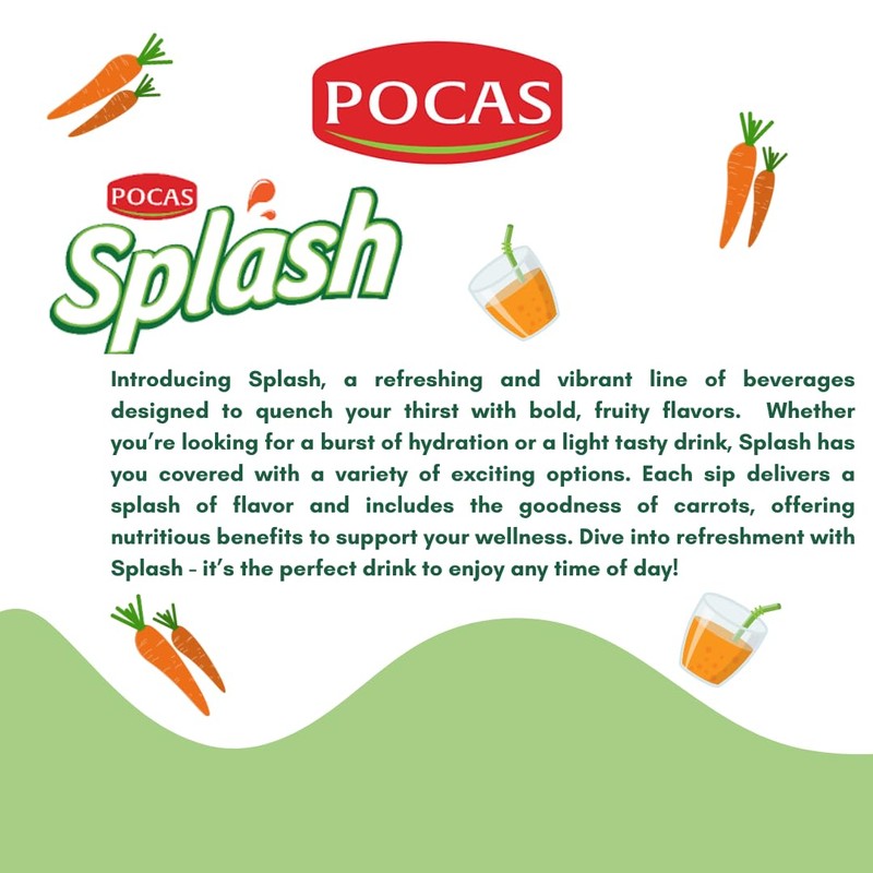 SPLASH Apple Carrot Juice Drink 750ml, 4 Pack