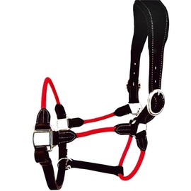 Cwell Equine Deluxe Black Leather and Rope Hybrid Padded Halter FULL/COB/PONY (RED PONY)