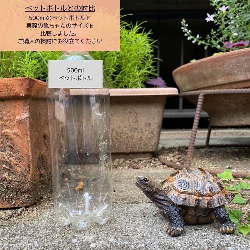 S.T.S.G Turtle Sculpture Garden Figurine, Yard Gardening Garden Object Interior