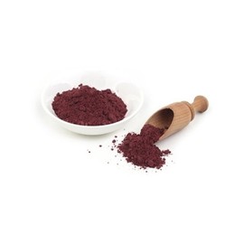 유기농 블루베리분말 100g Organic Blueberry Powder 100g