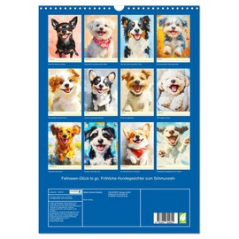 Fellnasen-Glück to go. Fröhliche Hundegesichter zum Schmunzeln (Wandkalender 2026 DIN A3 hoch), CALVENDO Monatskalender