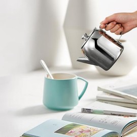Ksrnsne Stainless Steel Teapot Spill-Proof Metal Teapot Tea Kettle 20 Oz with Short Straight Spout Cold Water Jug Coffee Kettle