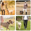 LIEVUIKEN Dog Leash 5ft Long, Double Handle Dog Leash for