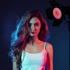 Soonpho BD-04 Barn Door Metal Barn Door & Honeycomb Grid & 4 Colour Gel Filter Set for 7 Inch Standard Reflector Bowens Mount Compatible with GODOX LED Video Light para NEEWER Amaran Aputure