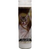 Lil Bub Cat Devotional Prayer Saint Candle