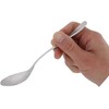 Takagi TAKAGI Antibacterial Stainless Steel Large Tea Spoon, Set of