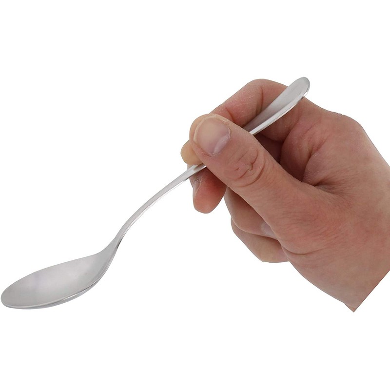 Takagi TAKAGI Antibacterial Stainless Steel Large Tea Spoon, Set of
