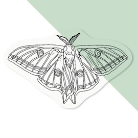 4 x Small 50mm 'Luna Moth' Transparent/Clear Sticker Decals for Windows/Cars/Walls (DC00138680)