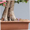 Outanaya Realistic Stone Mushroom Sculptures 4 Pack Mini Mushroom Statues