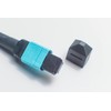 FCD - 0.5M OM3 MPO LCx12 Multi-Fiber Breakout Cable |