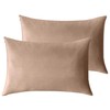 StangH Soft Velvet Pillowcase Bed Pillow Cover for Hair and
