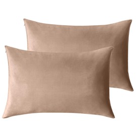 StangH Soft Velvet Pillowcase Bed Pillow Cover for Hair and Skin, Queen Size (Blush Beige, 20 x 30 inches) Pillow Cases Set of 2, Luxury Warm Pillow Cover with Hidden Zipper
