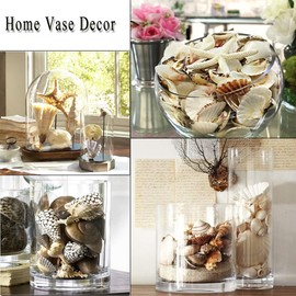 12 PCS Large Seashells Mixed Beach Sea Shells and Ocean Starfish,Natural Colorful Sea Shells Starfish Up to 16CM, Large Seashells Perfect for Beach Theme Party Home Decor DIY Crafts Fish Tank Decor