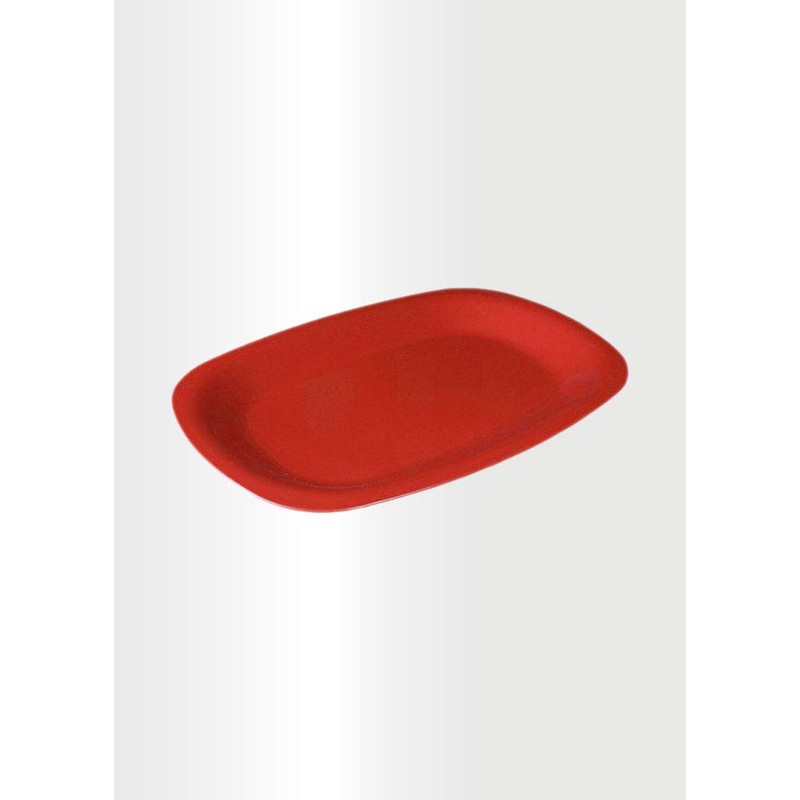 ECO Plastic SET-of-2 Serving Platter Ideal for Picnics and Parties,