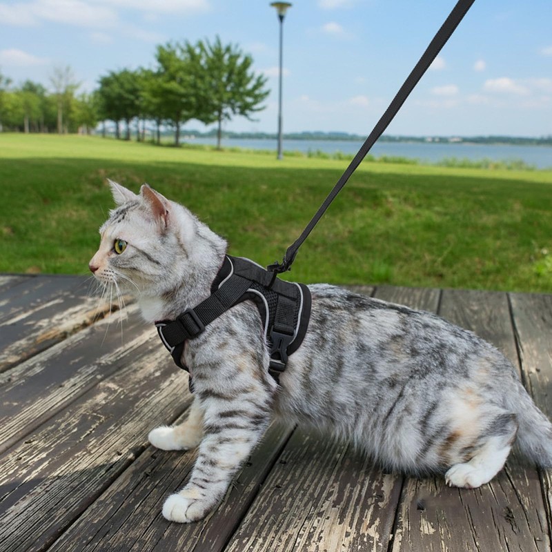 pangdi Cat Harness and Leash Set Escape Proof Tactical Extra