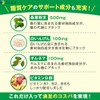 【福袋】ファイン カロリー気にならない 糖質専用 + 脂質専用 セット ベジカプセル