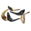 Traditional Natural Shofar Ram's Horn From Israel Certified Kosher (35-40
