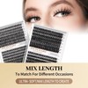 XIUSUZAKI Lash Clusters C Curl DIY Eyelash Clusters 30D+40D 280pcs