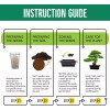 REALPETALED Bonsai Starter Kit, Japanese Bonsai Tree Kit with Bonsai