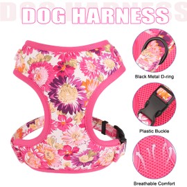 Beirui Cute Girl Dog Collars, Harnesses & Leashes Set - Adjustable Dog Collar and Leash Set with Flower - Soft Mesh Dog Vest Harness for Puppies Small Medium Dogs (Pink-2,S)