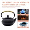 SECHUDO Japanese Tetsubin Cast Iron Teapot Tea Kettle pot with