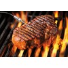 Rosenstein & Söhne Grill Thermometer: Smart Digital Grill Thermometer, Conversion
