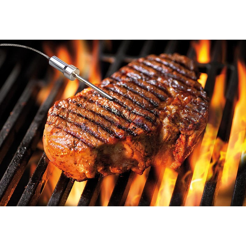 Rosenstein & Söhne Grill Thermometer: Smart Digital Grill Thermometer, Conversion